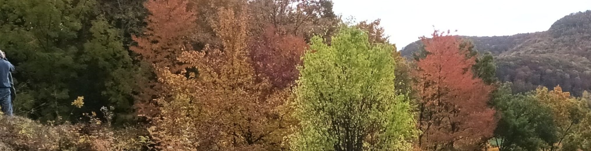 Schwäbischer Albverein | Ortsgruppe Öschingen